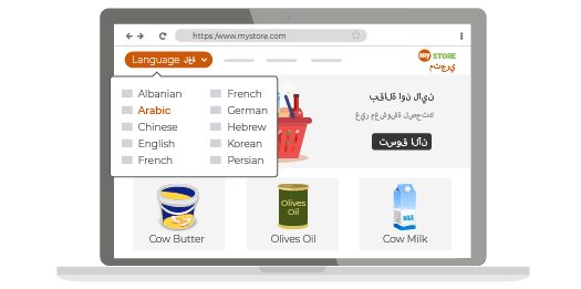 Multilingual Store With  RTL Languages