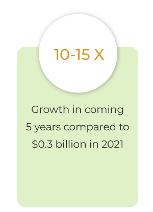 StoreHippo infographic showing 10-15 times growth as compared to $0.5 billion in 2021