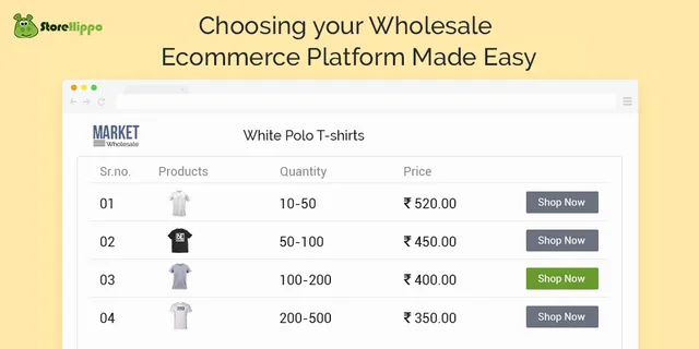 Best Ecommerce Platform For Wholesale