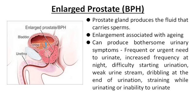 prostate infection symptoms blood in urine)