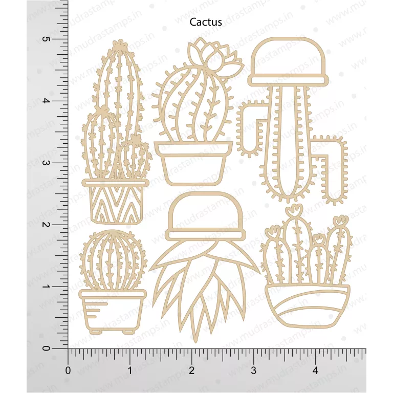Cactus Chipzeb