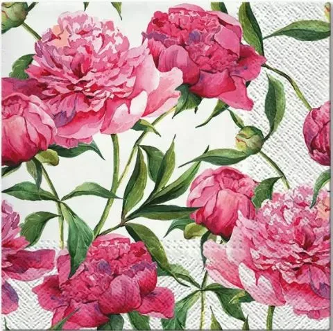 Decoupage Napkin / Tissue papers - GT2924