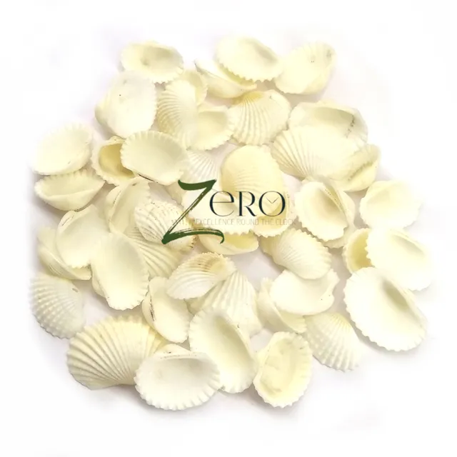 Brand Zero - White Small Curved Scallops Seashells - 20 Gms