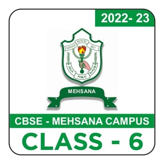 DPS Mehsana Student Kit Std.6 (Gujarati)