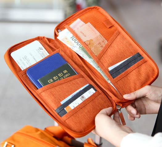 Passport/Card Travel Pouch