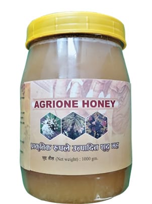 Organic Pure Honey (Chiuri Honey) - 1KG