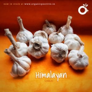 Organic Positive - Himalayan Garlic-500 gms