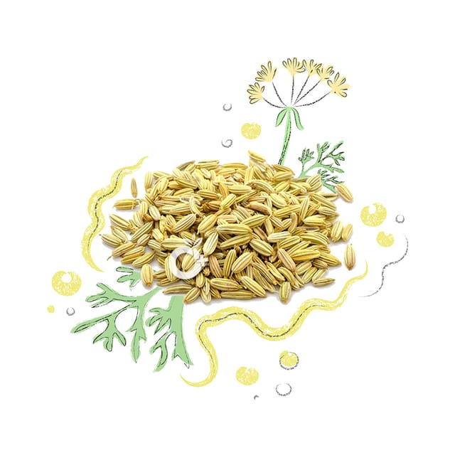 Organic Positive - Fennel Seeds - சோம்பு-Sombu-100 gms