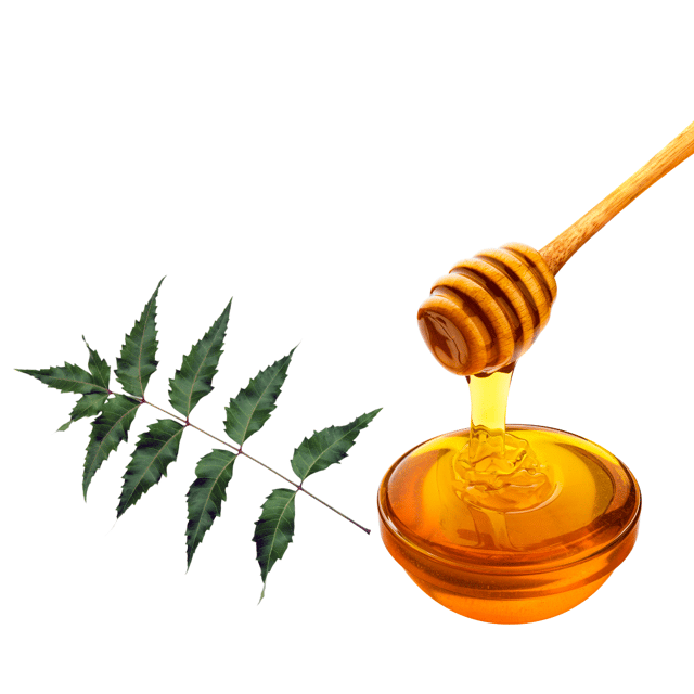 Homes & Hills -   Pure neem Honey  - 500 gms