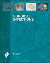 Surgical Infections 1st Edition By Fry Donald