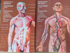 Prives Human Anatomy (2 Volume set)