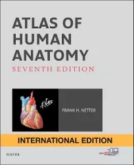 Atlas of Human Anatomy 7th edition 2018 by Frank H. Netter