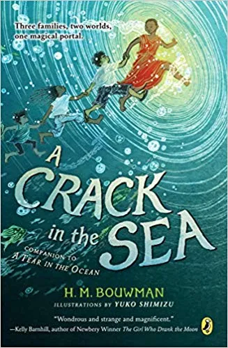 A Crack In The Sea By Bouwman, H. M. Publisher Puffin Books