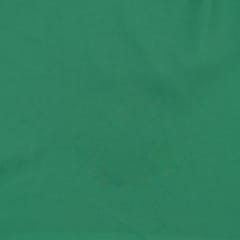 Green Poly Georgette fabric