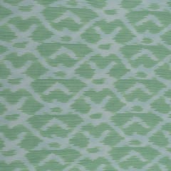 LIGHT GREEN WITH  WHITE IKAT fabric