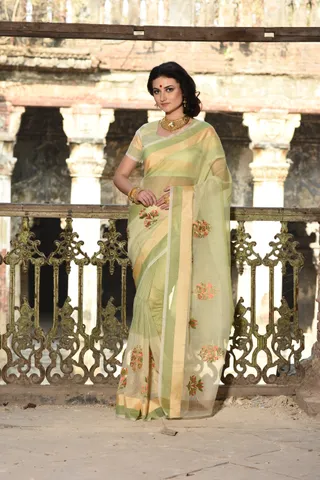 RDH Beautiful resham and zari embroidery is used to decorate this saree