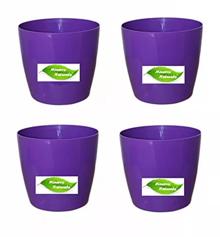 6'' table top pot ( Purple color) PACK OF 4 - Minerva Naturals