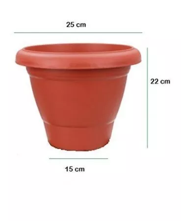 10'' pot with suitable bottom tray terracotta color(SET OF 05 NOS) - Minerva Naturals