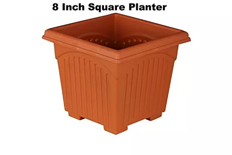 8 Inch Square Pots plus bottom tray - Square Planters Terracotta Color (Pack of 5 Nos)