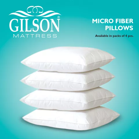 Gilson Pack Of 4 Micro Fiber Pillow (20x30)-White