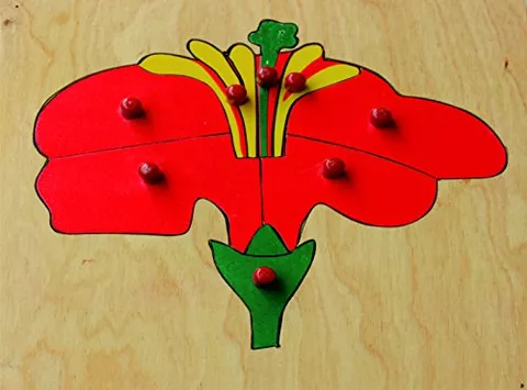 JNANAMUDRA-Botany-Jigsaw Puzzle-Flower