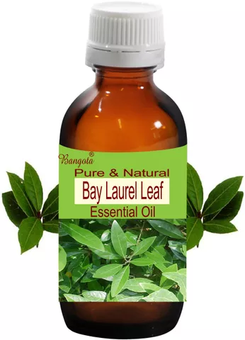 Bay Laurel Leaf Oil -  Pure & Natural Essential Oil