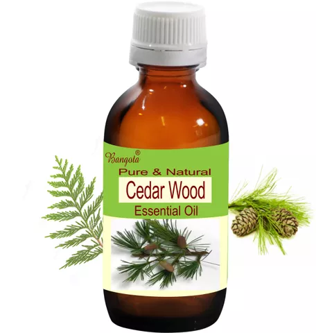 Cedar Wood Oil -  Pure & Natural  Essential Oil