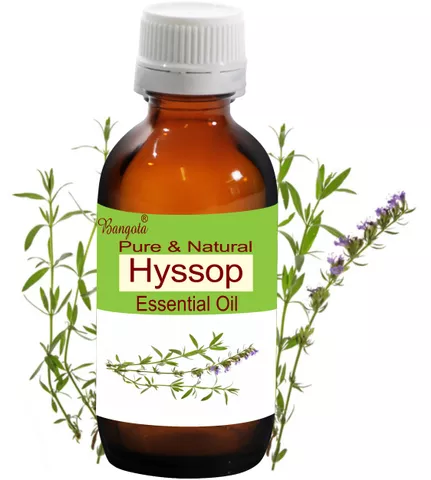 Hyssop Oil-  Pure & Natural  Essential Oil
