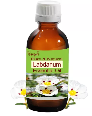 Labdanum Oil - Pure & Natural Essential Oil