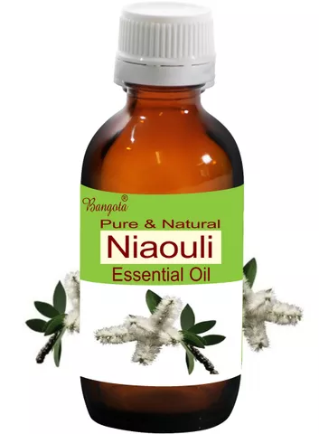 Niaouli Oil -  Pure & Natural  Essential Oil