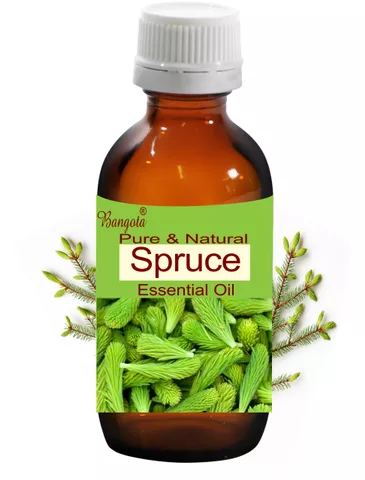 Spruce Oil -  Pure & Natural  Essential Oil
