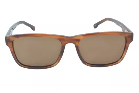 iZoom YC-1019-C2 Brown Brown Wayfarer Medium Size 54 Men & Women Sunglasses