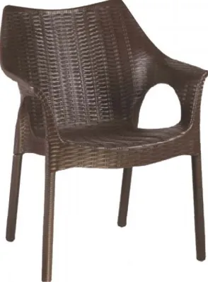 Rolex Designer Plastic Chair