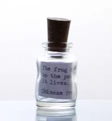 Mini Wonky Message in Bottle - BE GREEN