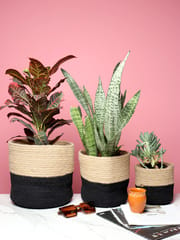 Natural & Black jute and rope plant holders online from Habere India/ Buy Rope planters used as rope plant basket and rope flower pots