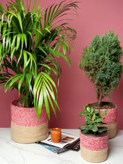 Pink & Beige jute and rope plant holders online from Habere India/ Buy Rope planters used as rope plant basket and rope flower pots