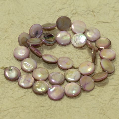 12mm Disc Shell Beads  Purple 1 String