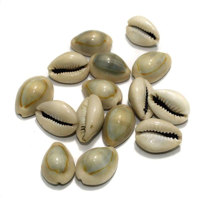 20 Pcs, 15-20mm Cowrie Shell Beads Grey Without Hole