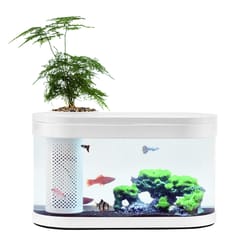 Geometry Fish Tank Aquaponics Ecosystem Small Water Garden