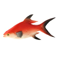 Lifelike Artificial Sea Fish Ornament for Aquarium Decorations Red