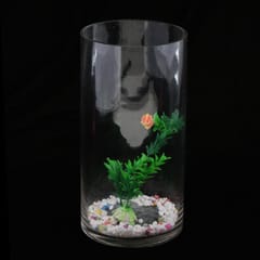 Cylindrical Glass Tank Small Ecological System Aquarium Fish Tank 2