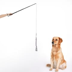Extendable Dog Puppy Teaser Pole Wand Outdoor Interactive