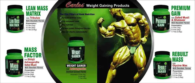 Carlos Anabolic Mass Factor Powder (1kg)