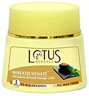 Lotus Herbals WHEATJUVENATE Wheatgerm Oil and Honey Massage Cream (50gm)