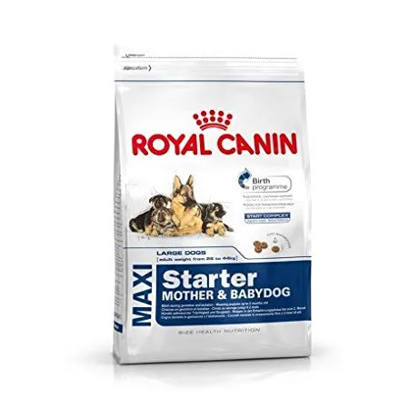 Royal Canin - Maxi Starter (1 kg)