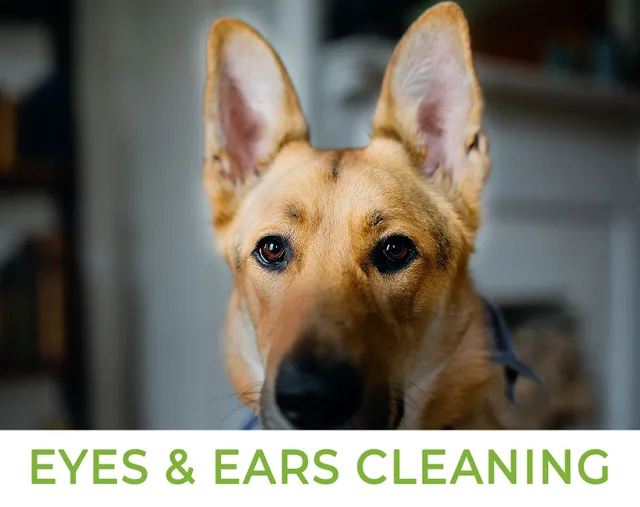 Eyes & Ear Cleaning