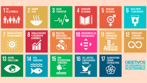 How does Bemariposa contribute to the Sustainable Development Goals (SDGs)?