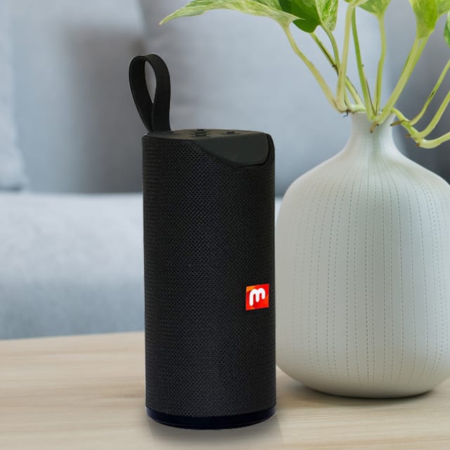 tg113 portable speaker