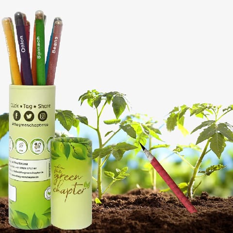 The Green Chapter - Plantable Seed Pencil Set of 10 Gift Set