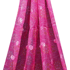 Organza Bandhani Print Embroidery - Hot Pink - KCC165031